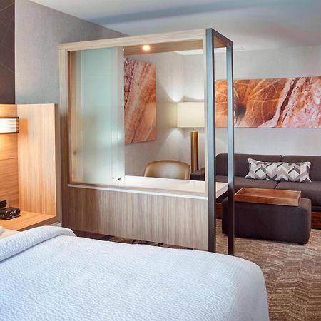 Springhill Suites By Marriott Grand Rapids West Грандвилл Экстерьер фото